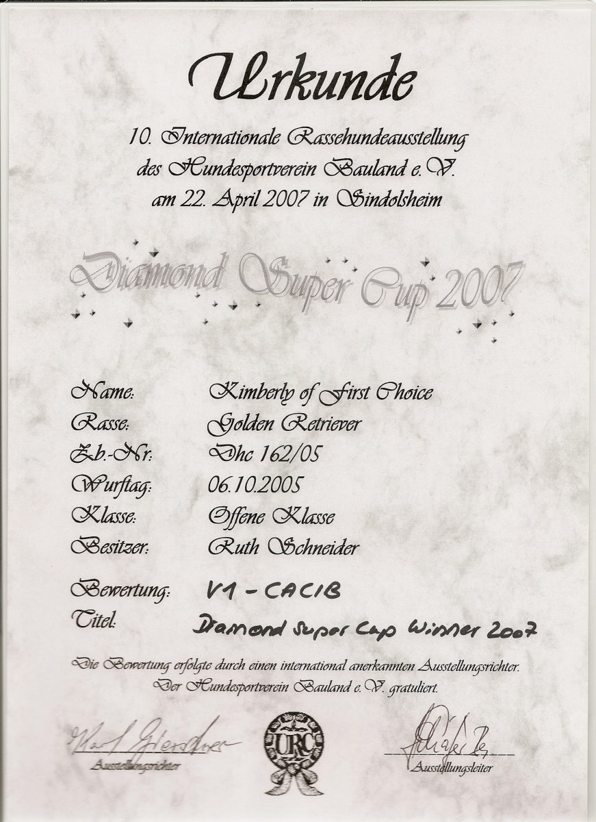 DiamondSuperCup222042007