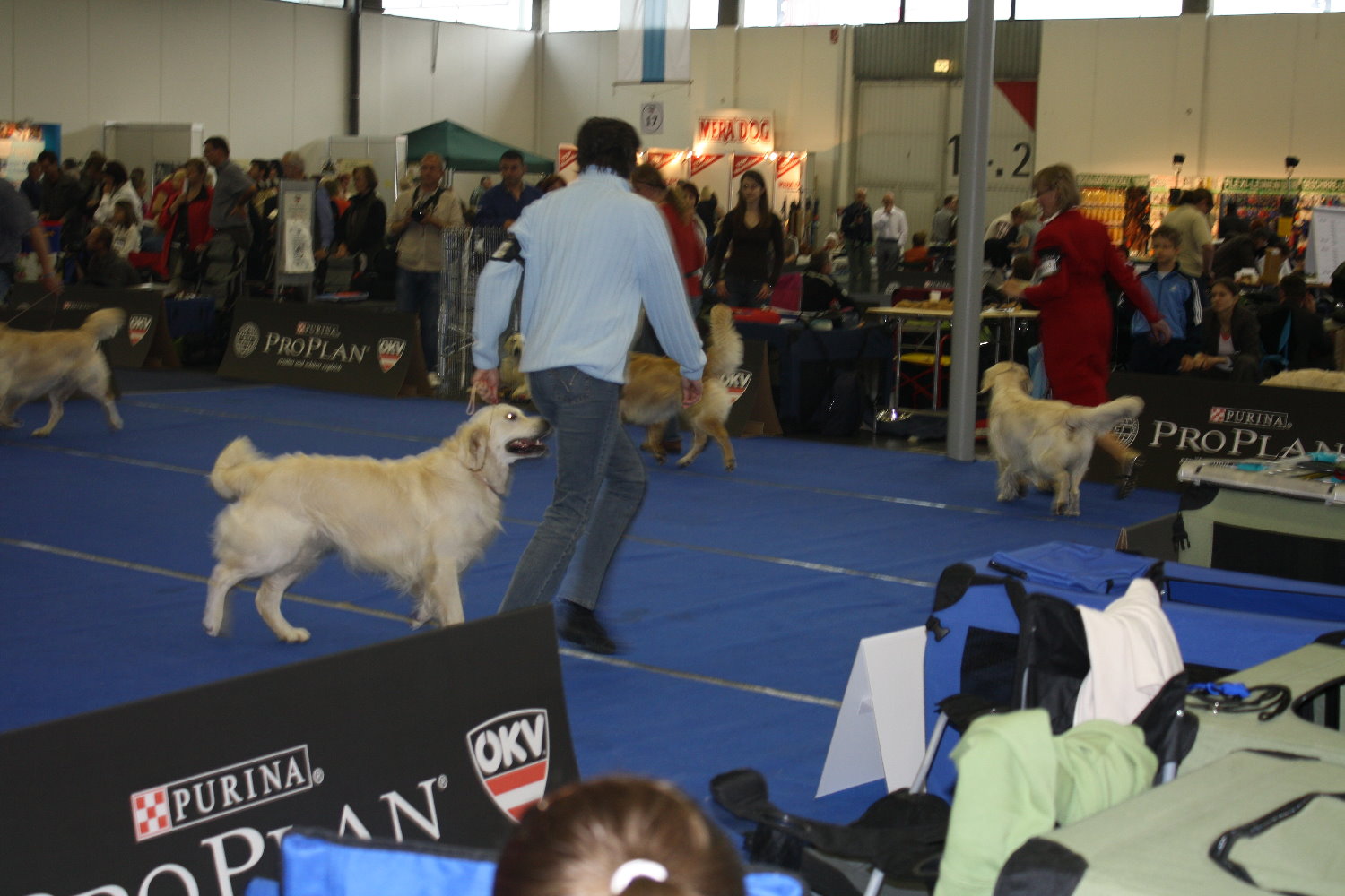 Stormy 2 Salzburg 09