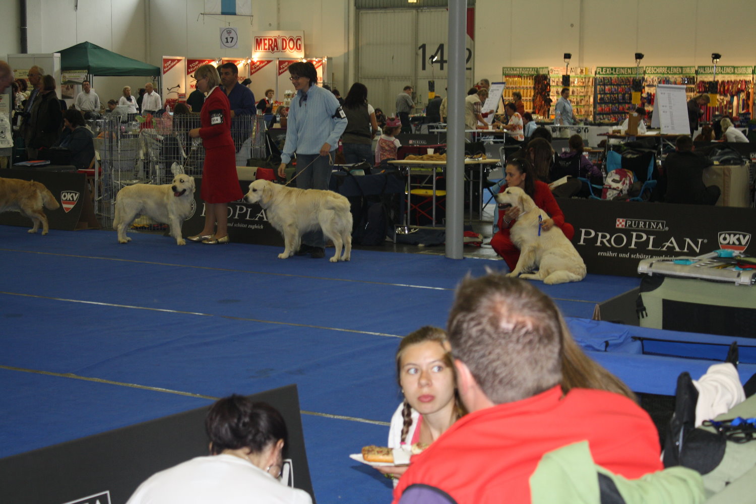 Stormy 6 Salzburg 09