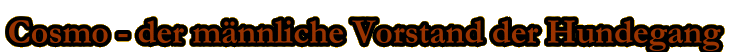 Cosmo berschrift