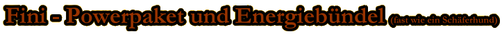 Fini berschrift